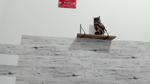 Jaycreedd online show from 02-22-25, 11:24