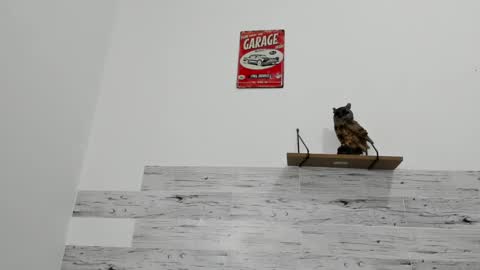 Jaycreedd online show from 03-12-25, 06:18