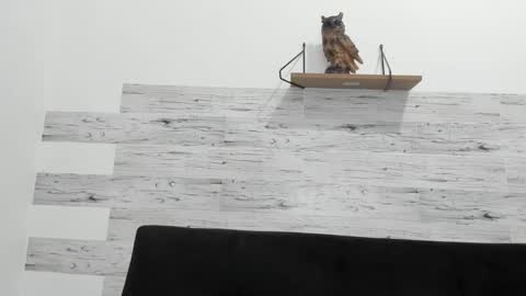 Jaycreedd online show from 09-21-25, 12:12