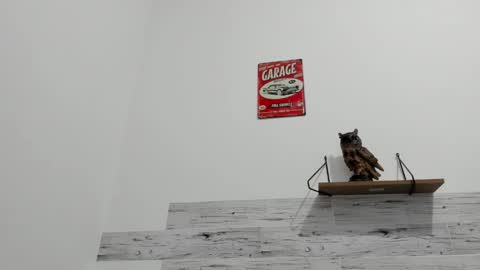 Jaycreedd online show from 09-29-25, 12:38