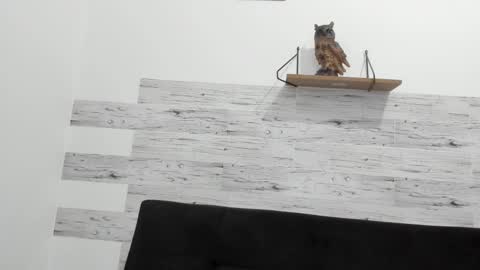 Jaycreedd online show from 10-02-25, 09:55