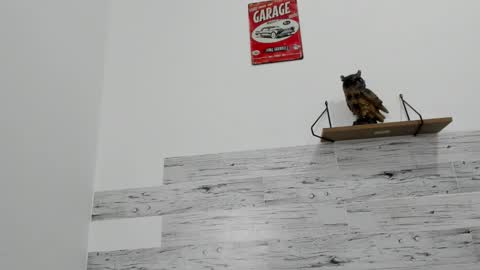 Jaycreedd online show from 10-12-25, 10:09