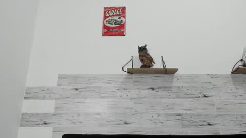 Jaycreedd online show from 11-12-25, 08:15