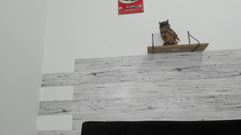 Jaycreedd online show from 11-26-25, 04:13