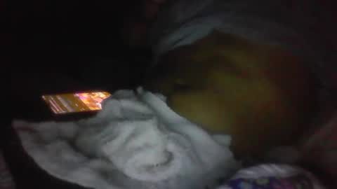 jaywulf22 online show from 01-19-26, 05:11