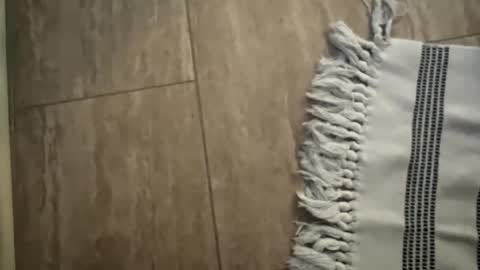 jbigblue online show from 01-11-26, 01:49