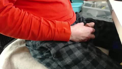 jc200000 online show from 12-17-25, 09:54