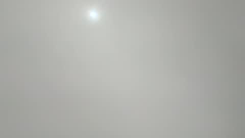 jcb2504 online show from 11-04-25, 12:21