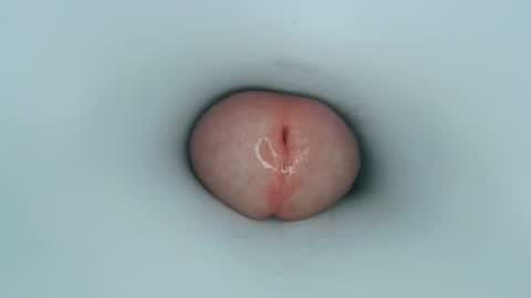 jeffrodgerschaturbat online show from 01-11-25, 12:50