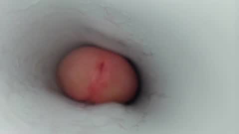 jeffrodgerschaturbat online show from 01-17-26, 07:46