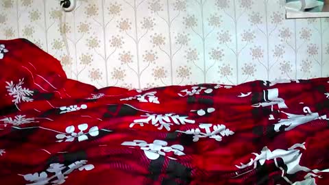 jellykulli online show from 12-31-24, 09:31