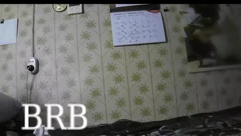 jellykulli online show from 03-03-25, 04:24