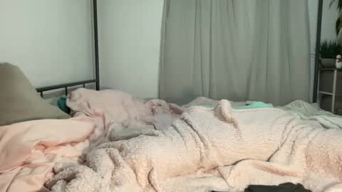 Snapshot of jenni_cash chatting on 12-11-24, 06:47 Mistress Jenni online show from 12-11-24, 06:47