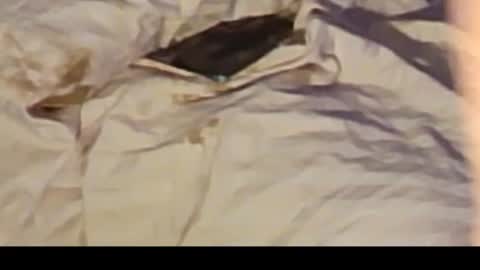 Jennie bttmcd online show from 02-14-25, 12:36