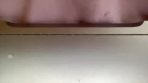 Snapshot of jerking1981 chatting on 12-25-24, 05:37 jerking1981 online show from 12-25-24, 05:37