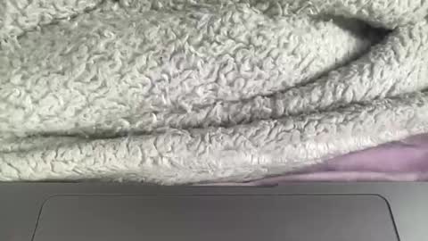 Snapshot of jerking1981 chatting on 01-01-25, 04:50 jerking1981 online show from 01-01-25, 04:50