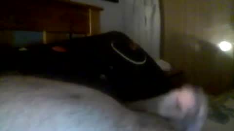 Snapshot of jerkmate6666 chatting on 12-21-24, 06:19 jerkmate6666 online show from 12-21-24, 06:19