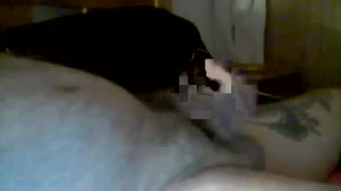 Snapshot of jerkmate6666 chatting on 01-13-25, 10:14 jerkmate6666 online show from 01-13-25, 10:14
