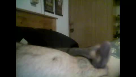 Snapshot of jerkmate6666 chatting on 09-16-25, 11:50 jerkmate6666 online show from 09-16-25, 11:50