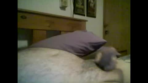 Snapshot of jerkmate6666 chatting on 10-14-25, 02:34 jerkmate6666 online show from 10-14-25, 02:34