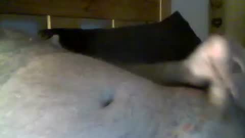 jerkmate6666 online show from 05-01-26, 10:36