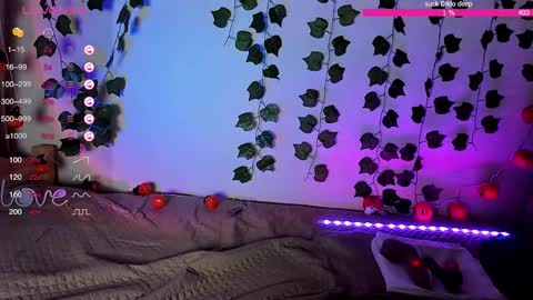 SakuraMio online show from 11-27-25, 11:40