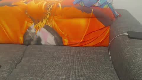 jessiestar3 online show from 02-23-25, 02:07