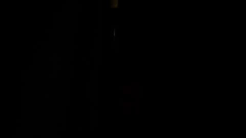 jestersquid89 online show from 09-13-25, 10:31