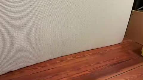 me online show from 01-16-26, 06:39