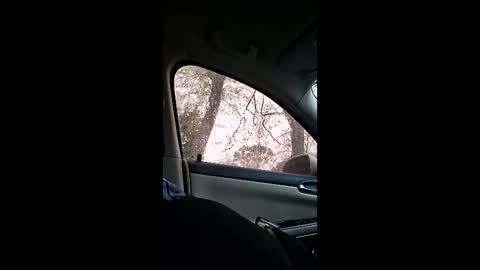 jgthagr8 online show from 03-04-26, 01:28