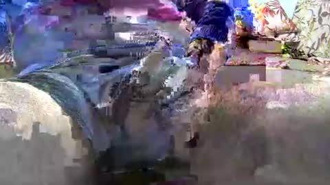 Snapshot of jimii281 chatting on 01-12-26, 09:53 jimii281 online show from 01-12-26, 09:53