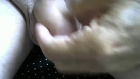 jimismiles online show from 10-07-25, 06:16