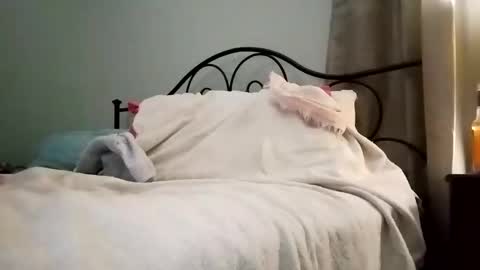 Jimz14u online show from 01-04-25, 03:18