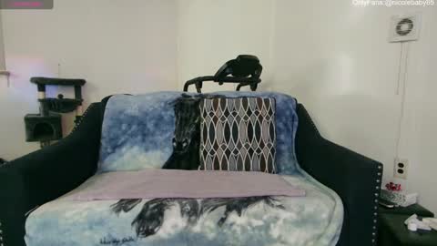 Nicole  Allen online show from 12-22-24, 01:55