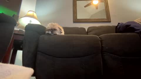 Jimmy online show from 01-21-25, 11:02