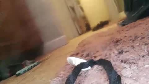 Jimmy online show from 02-23-25, 01:57