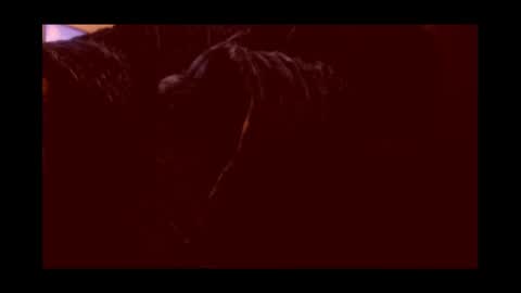 Joeygumbo online show from 01-03-25, 02:19