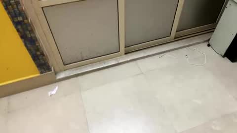 Snapshot of johncockhot chatting on 03-02-26, 08:04 johncockhot online show from 03-02-26, 08:04