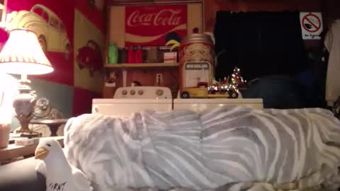 Snapshot of johstondude chatting on 05-19-26, 01:11 Johston online show from 05-19-26, 01:11