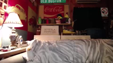 Snapshot of johstondude chatting on 05-25-26, 01:44 Johston online show from 05-25-26, 01:44