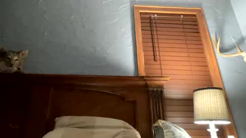 jonbigwhat online show from 12-26-24, 01:40