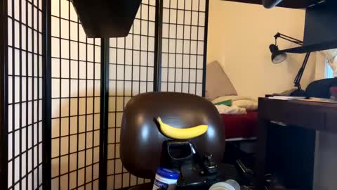 jondoe3657 online show from 01-23-25, 03:58