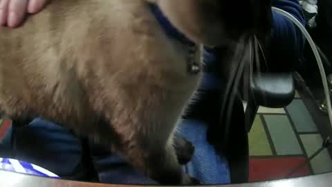 jonsexy1958 online show from 01-06-25, 11:31