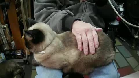 jonsexy1958 online show from 01-16-25, 06:06