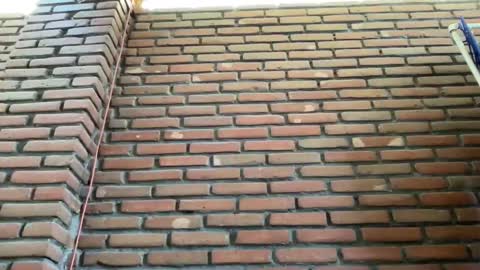 JorgeMAXX online show from 02-09-25, 08:34