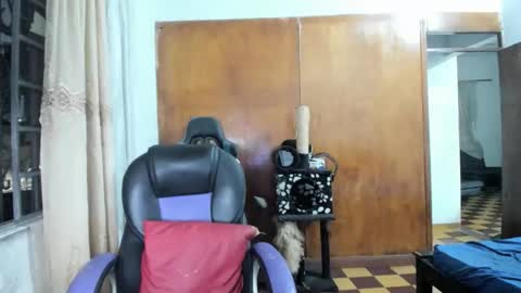 MR OAK online show from 10-28-25, 12:36