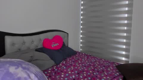 Snapshot of josh_and_dilany chatting on 01-22-25, 05:28 Dilany Josh online show from 01-22-25, 05:28