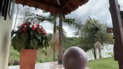 Snapshot of joulianogreco1 chatting on 11-15-25, 08:05 Im Jouliano online show from 11-15-25, 08:05