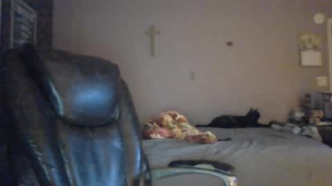 Snapshot of jpetz69257238 chatting on 08-05-26, 05:21 jpetz69257238 online show from 08-05-26, 05:21