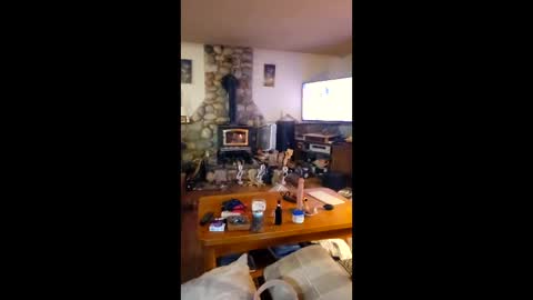 jsteger1465 online show from 02-24-26, 10:35